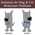Nathan Penny Animal Behaviorist Nathan Penny Animal Behaviorist
