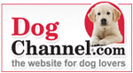 Dog Channel.com Dog Channel.com