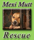 Mexi Mutt Rescue Mexi Mutt Rescue